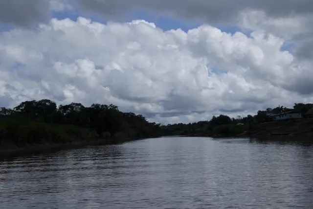 Las Amazonas