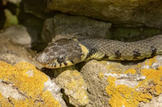 Stanton Country Park