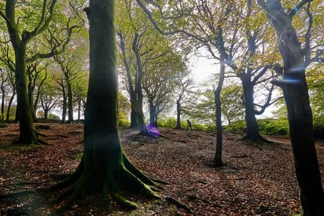 Otley Chevin Country Park
