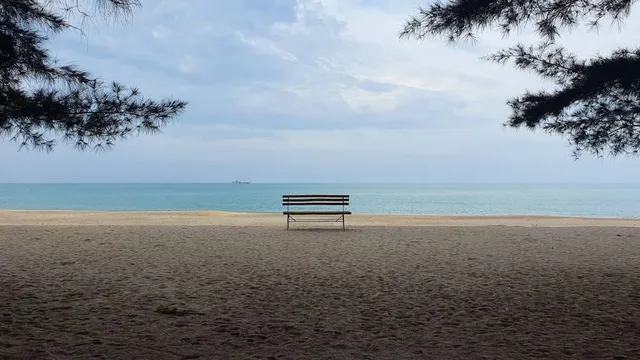 Pantai Tikus Emas