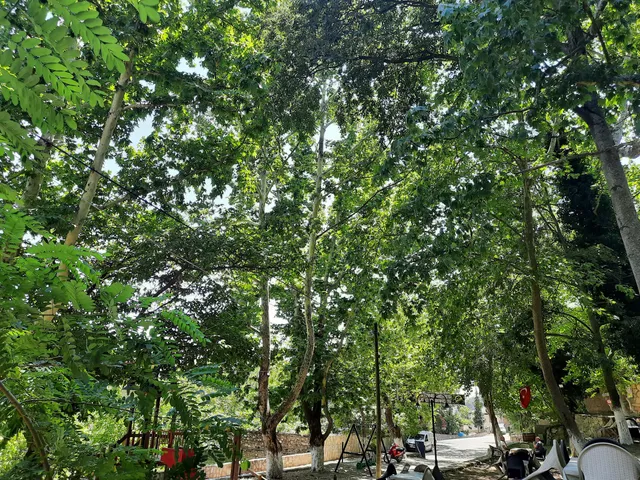 Kestane Deresi Parkı