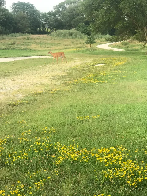 Oak Forest Heritage Preserve