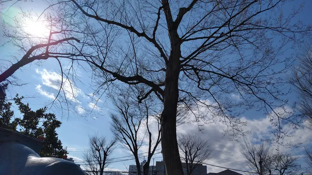 photo-2