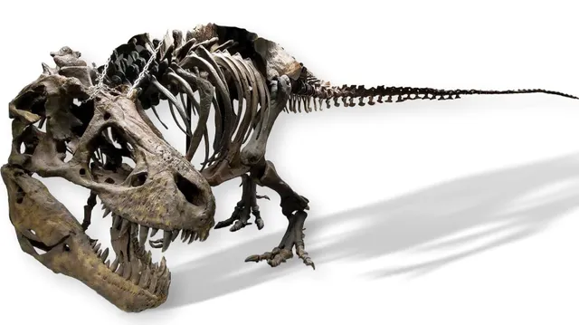 Earth Experience - Middle Tennessee Museum of Natural History