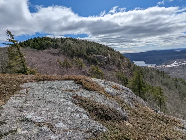 Bald Mountain Preserve