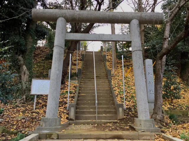 photo-2