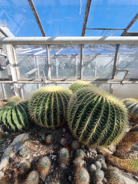 Univerzita Pavla Jozefa Šafárika