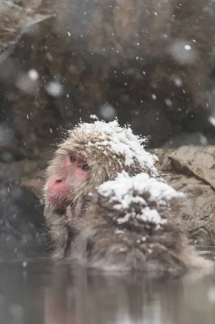 Cachoeira dos Amores