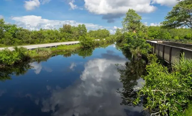 Big Cypress Oasis Visitor Center