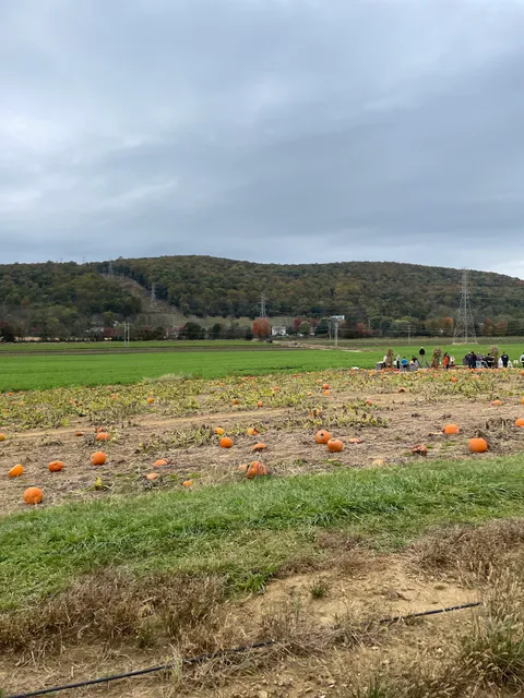 Donaldson Greenhouse & Nursery