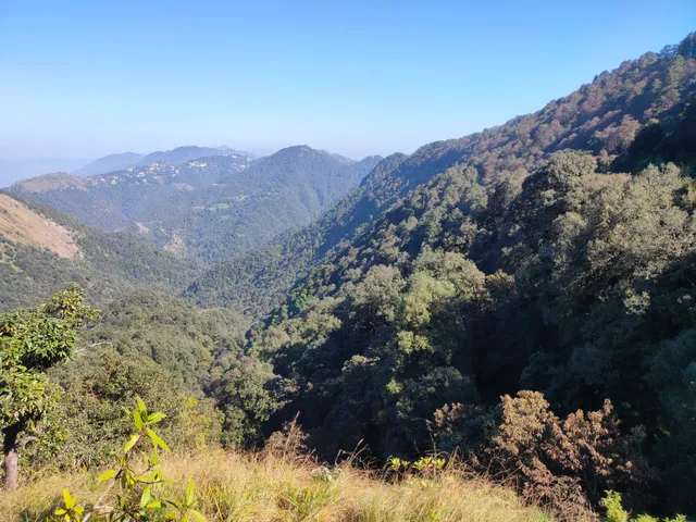 Benog Wildlife Sanctuary