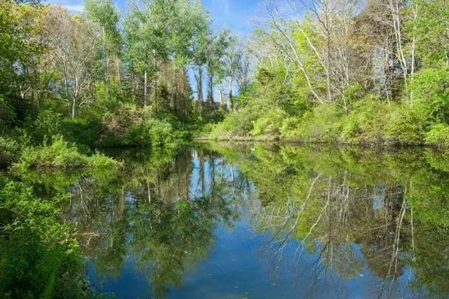 Mass Audubon Long Pasture Wildlife Sanctuary