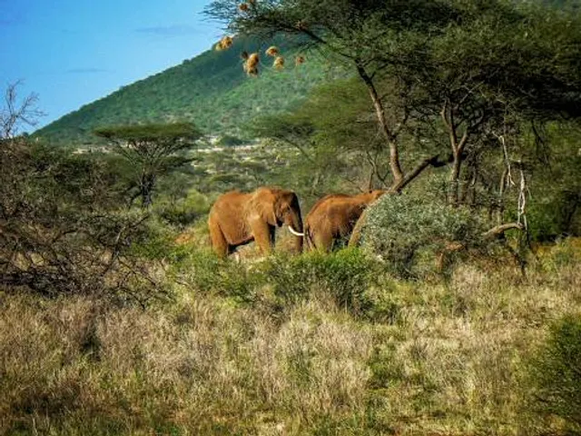 Parque Los Tamarindos
