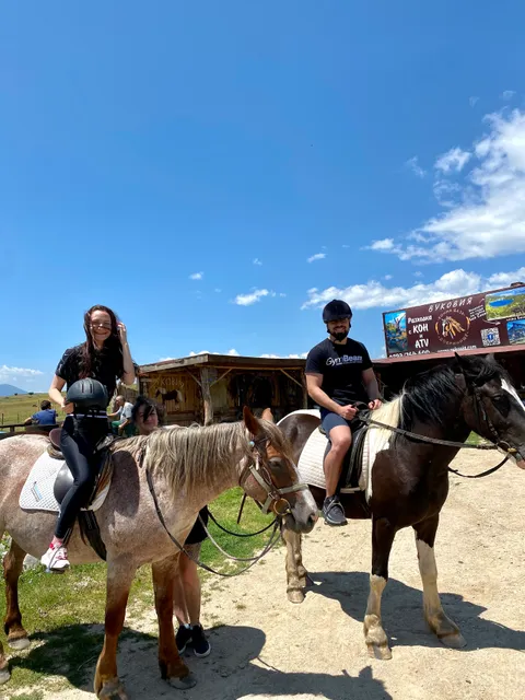 Конна База Вуковия