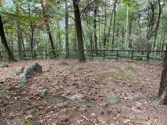 Necropoli Protostorica del Monsorino