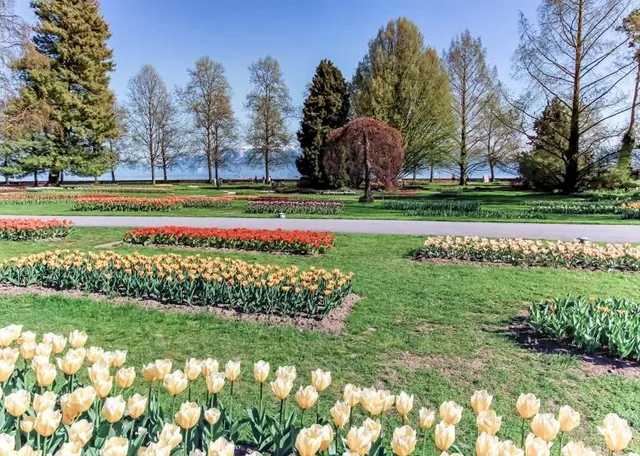 Fête de la Tulipe Morges