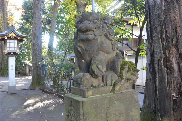 photo-3