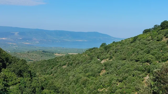 Necropoli di Monte Civita