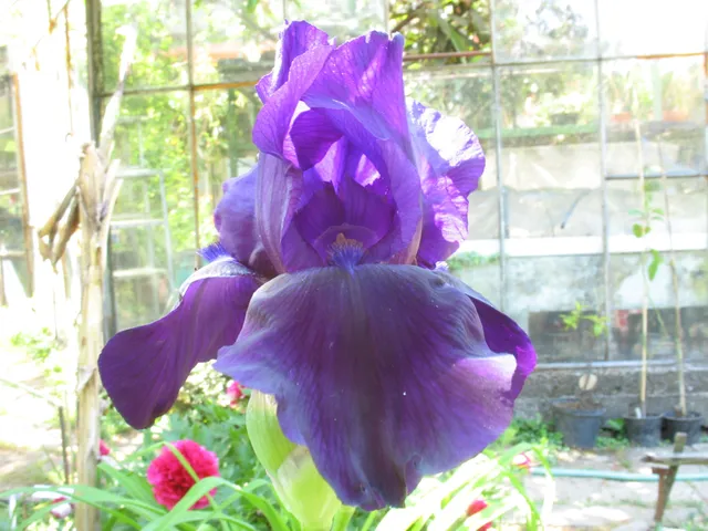 Botanical Garden Serafimovi/Ботаническа градина Серафимови