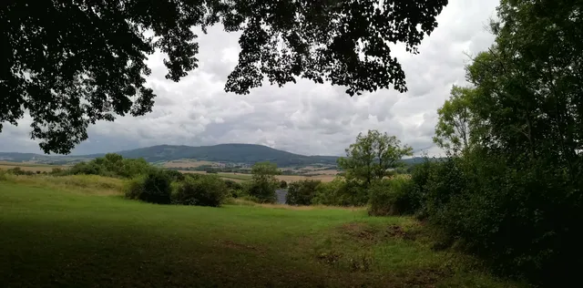 Premiumweg P7 Söder Wald