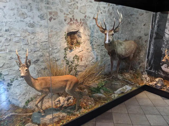 Centro studi naturalistici del Pollino - Il Nibbio