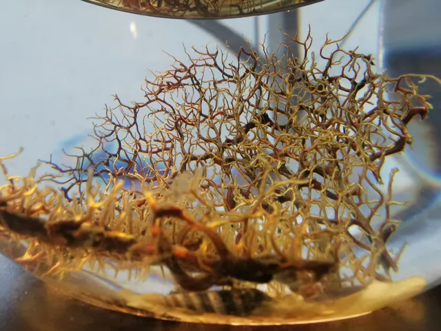 Donostiako Planetarioa