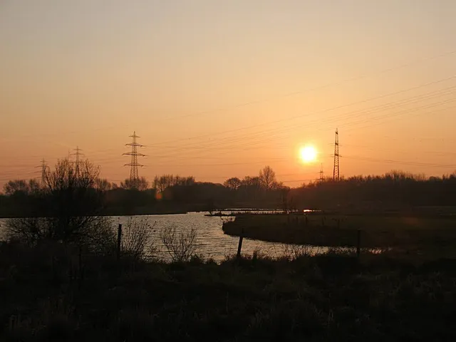 "Am Tibaum" Nature Reserve