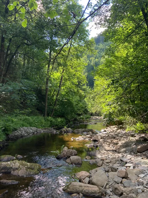 Vallée de la Warche