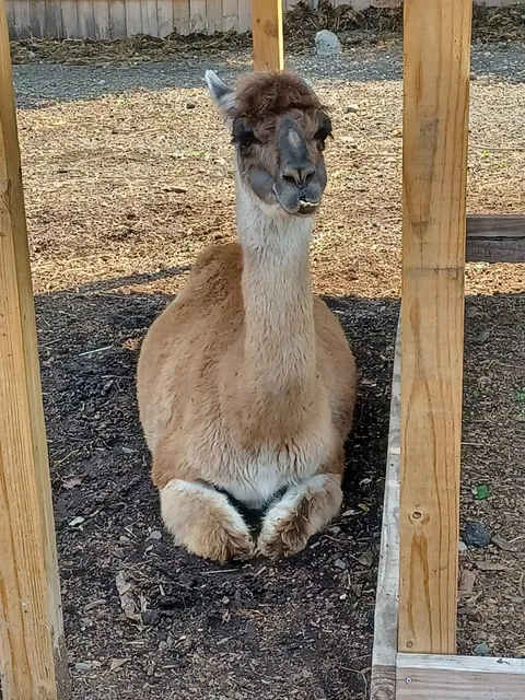 New Britain Youth Museum At Hungerford Park