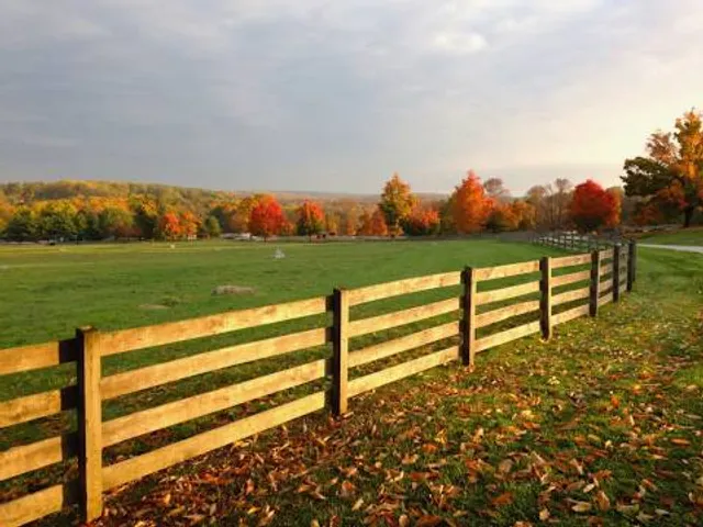 Springton Manor Farm