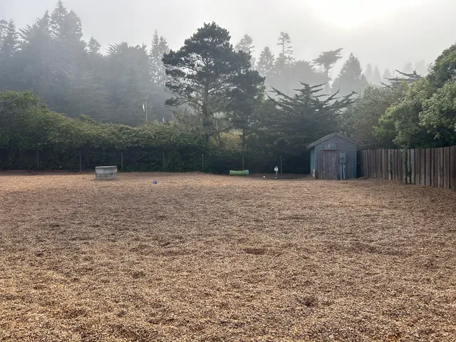 Mendocino Dog Park