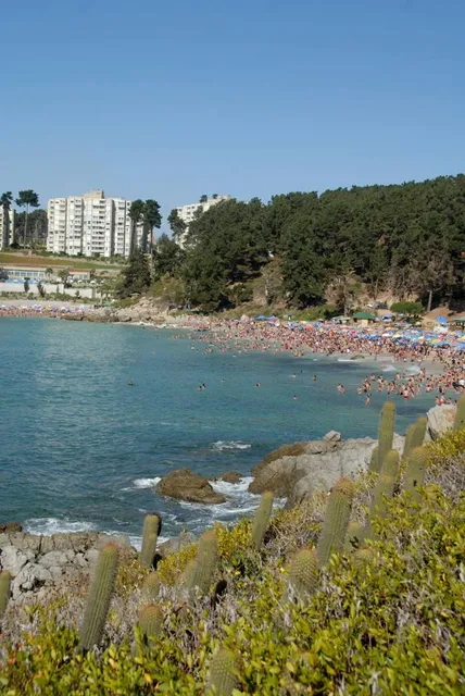 Playa Canelo Canelillo