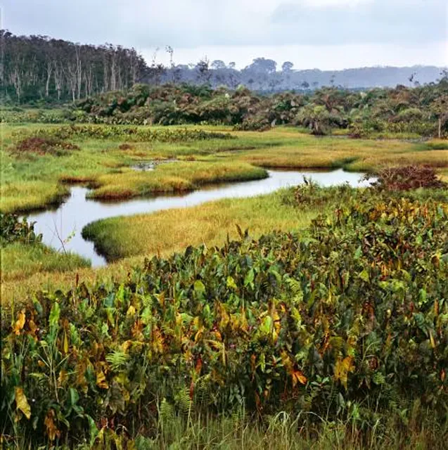 Phnum Prech Wildlife Sanctuary