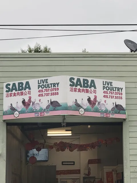 Saba Live Poultry 2