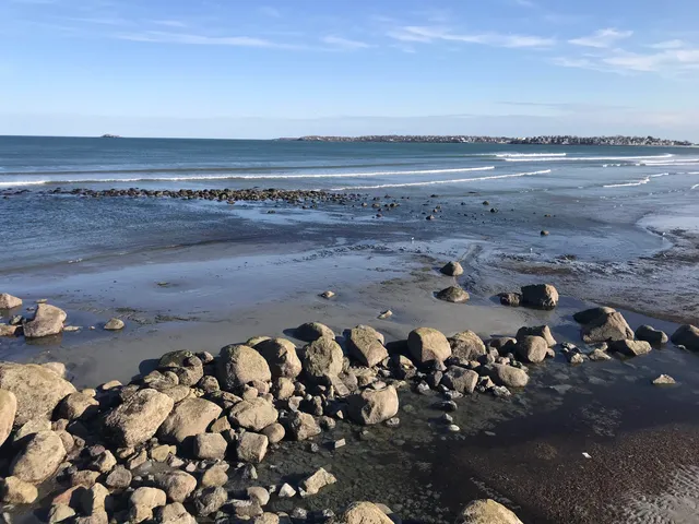 Lynn Shore Reservation