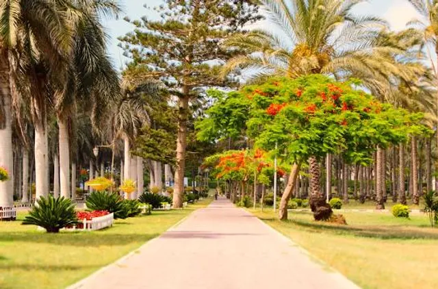 Al Montazah Parks