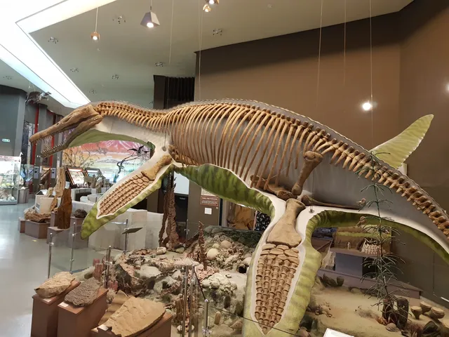 Samarskiy Oblastnoy Istoriko-Krayevedcheskiy Muzey Im. P.v. Alabina