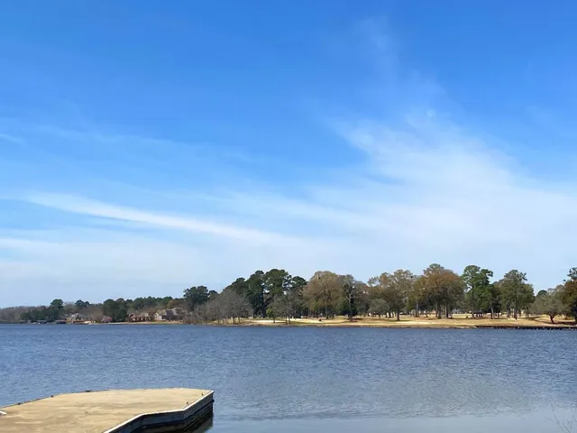 Houston Lake