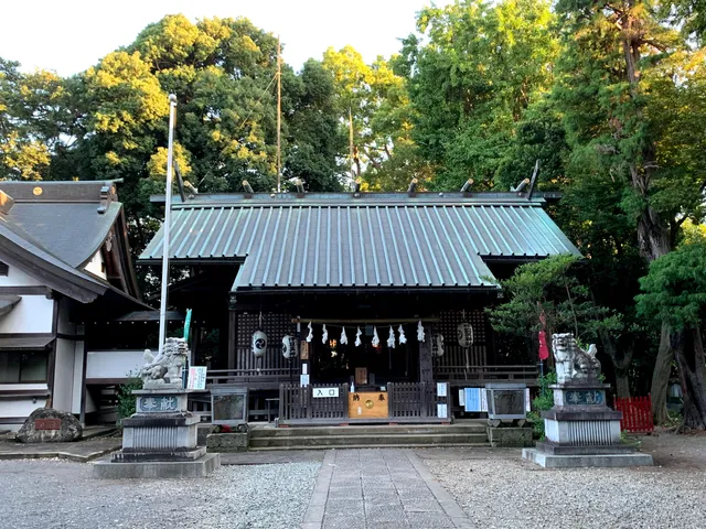 place image
