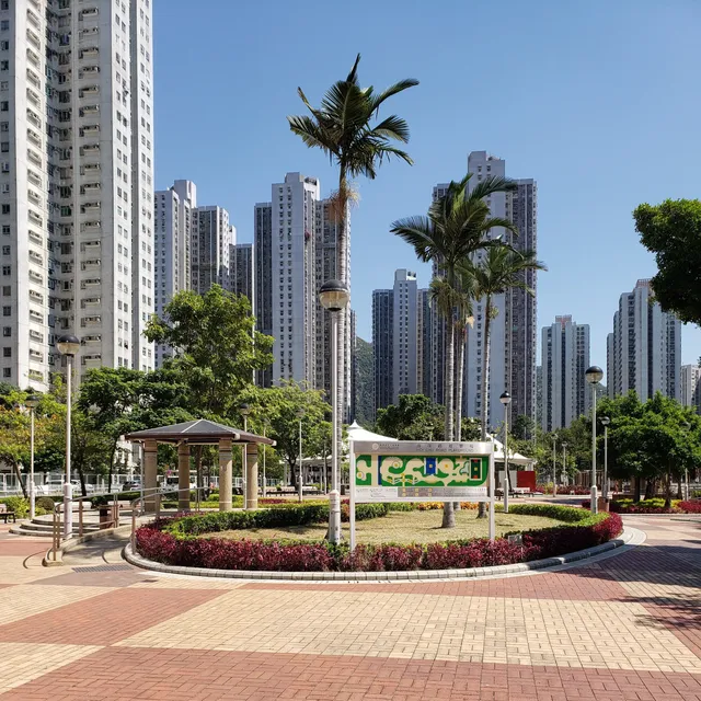place image