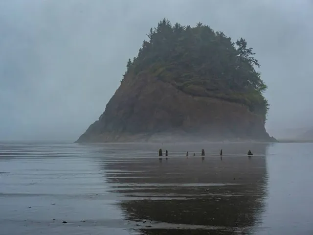 Neskowin Ghost Forest