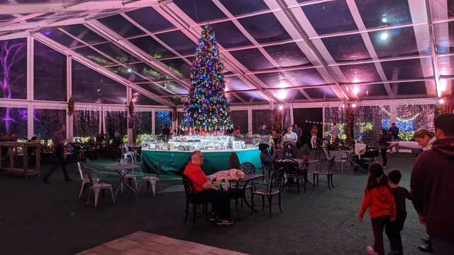 Christmas Village At Bayou Bend