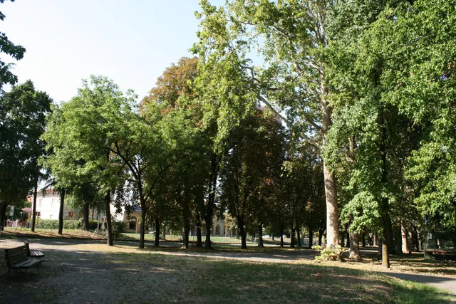 Parco Comunale Isola Carolina