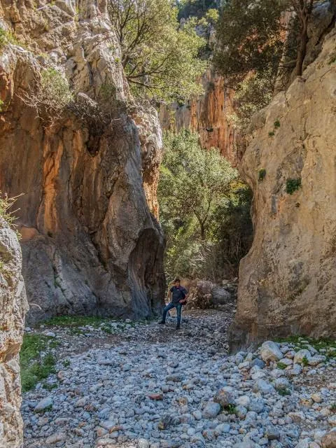 Kritsa Gorge