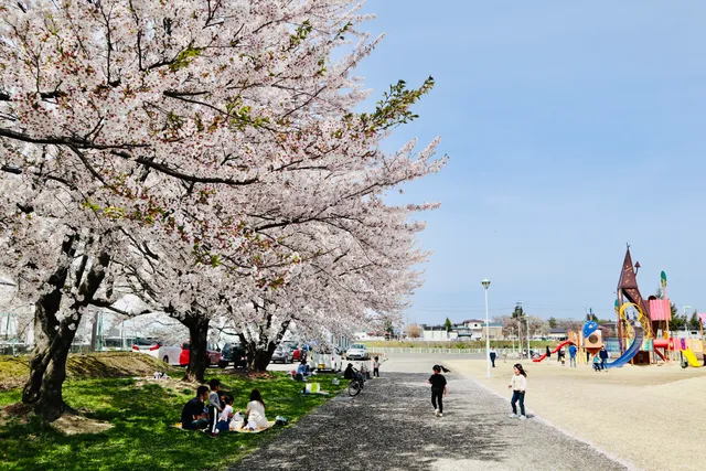 Kamioka Central Park