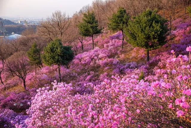 Inabe City Bairin Park