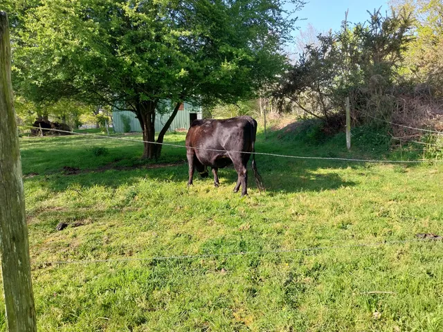 La Ferme Pédagogique de Saint Niau