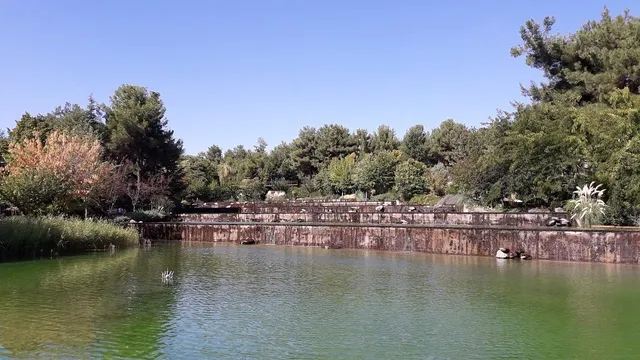 Erikche Piknik Forest