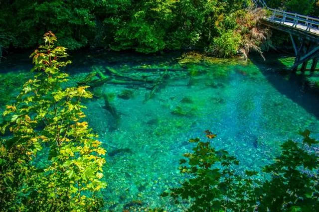 Parque Nacional Nahuel Huapi