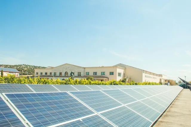 Bodega Emina Ribera del Duero
